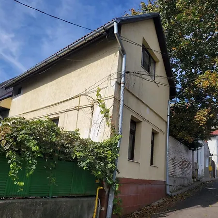 Vakantiehuis House In The New Center,brasov Braşov