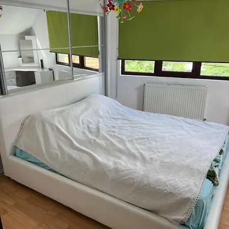 House In The New Center,brasov Braşov