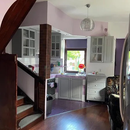 House In The New Center,brasov * Brasov