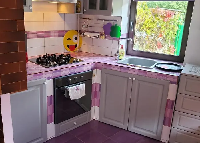 Holiday home House In The New Center,brasov *