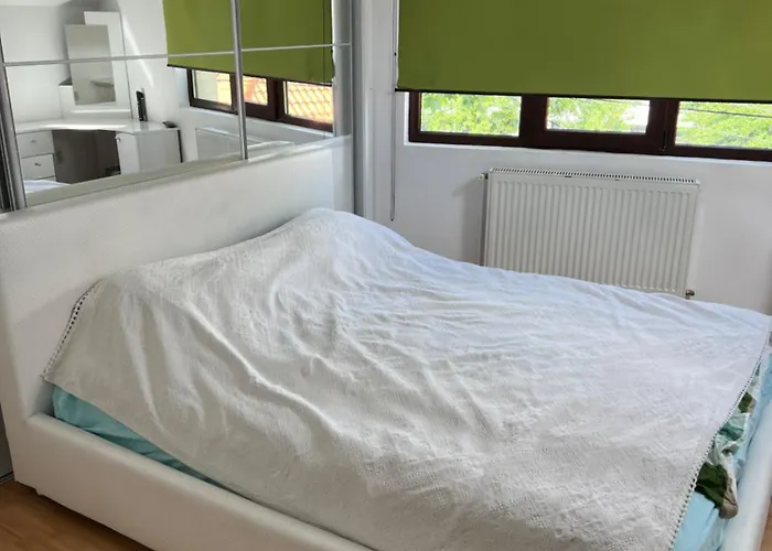 House In The New Center,brasov Brasov