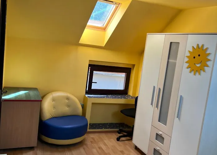 House In The New Center,brasov